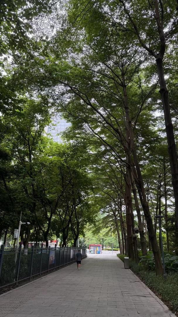 珠江新城最妙的就是有很多闹中取静的地方。 