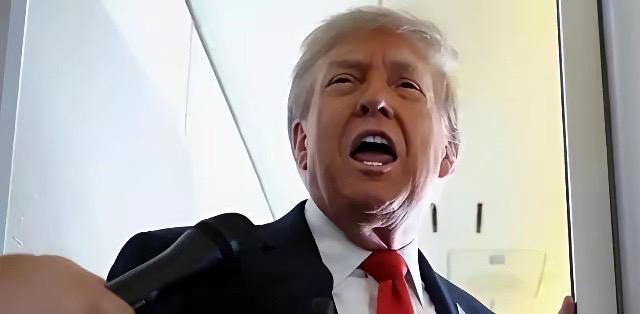 高市早苗:台湾有事，日本有事，日本有事，美国有事。

​郑丽文:台湾无事，日本无