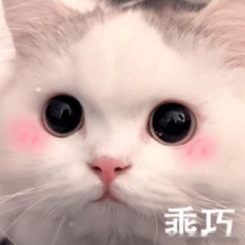 5场洗地机直播3场出现海尔战神海尔战神频现帮选直播卖货链条洗地机直播间的“PK大