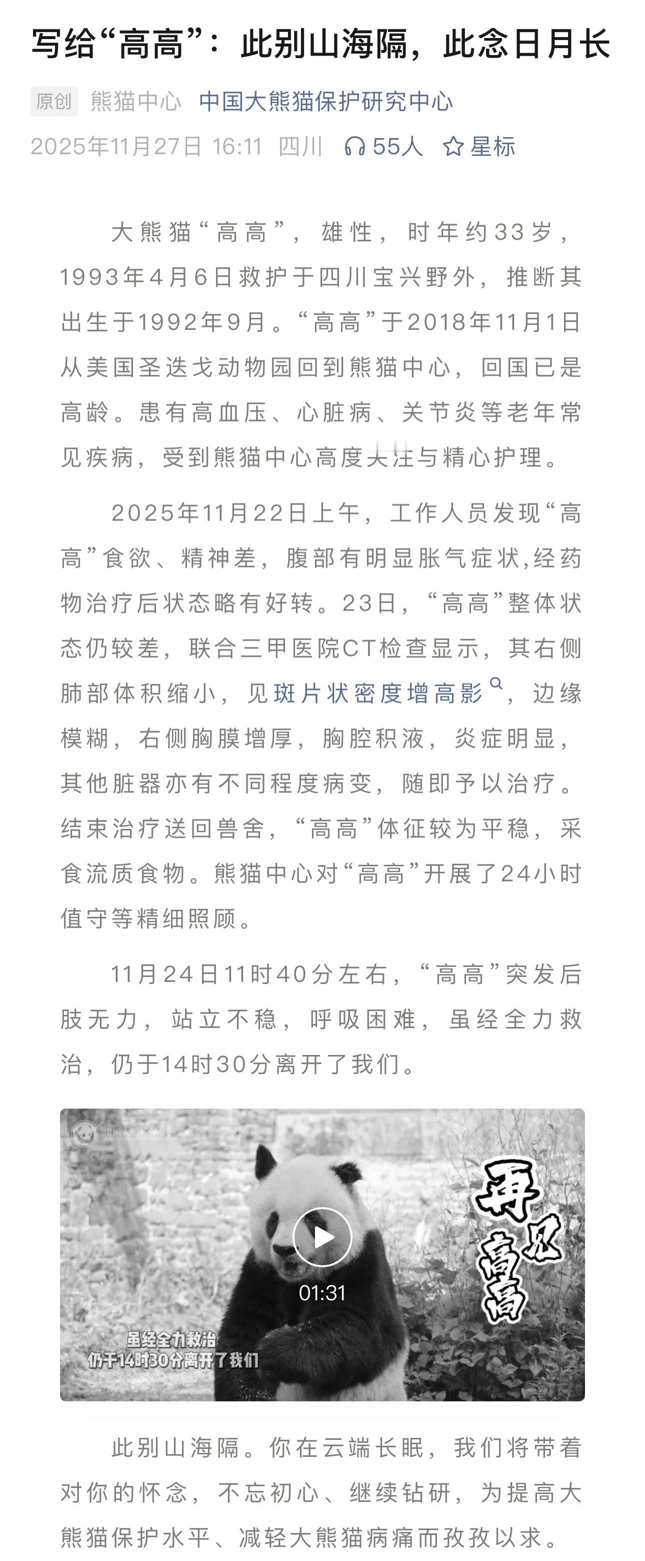 这一天还是到了，我们三战考编上岸的高姥爷回潘达星了 第一个吃过生日蛋糕的传奇熊猫