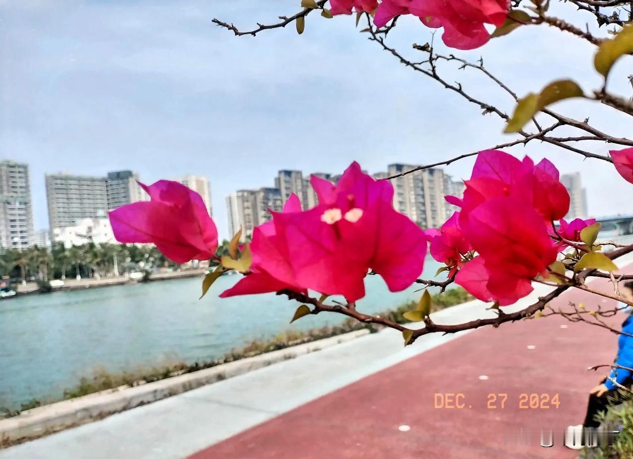 鸡鸣旧岁去; 请对下联

蛇舞新年来。