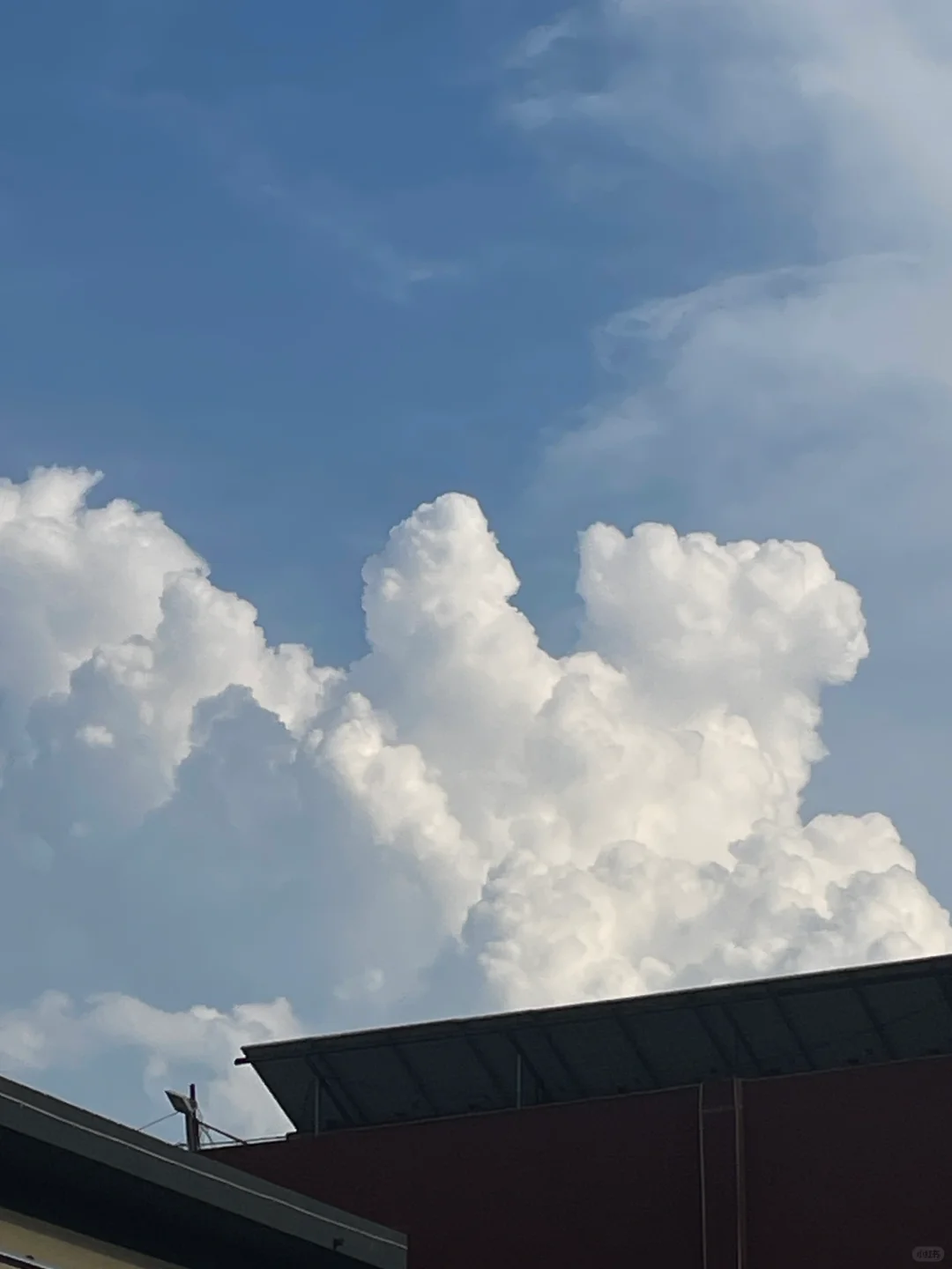 回村后才知道手机有多耗气血