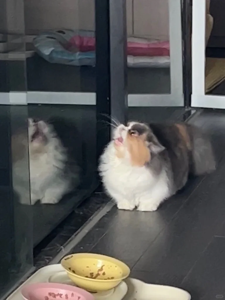 她看起来有点不好惹