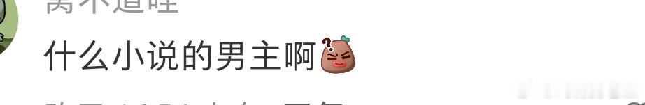 刘宇粉丝：小说男主照进现实路人：什么小说？ 