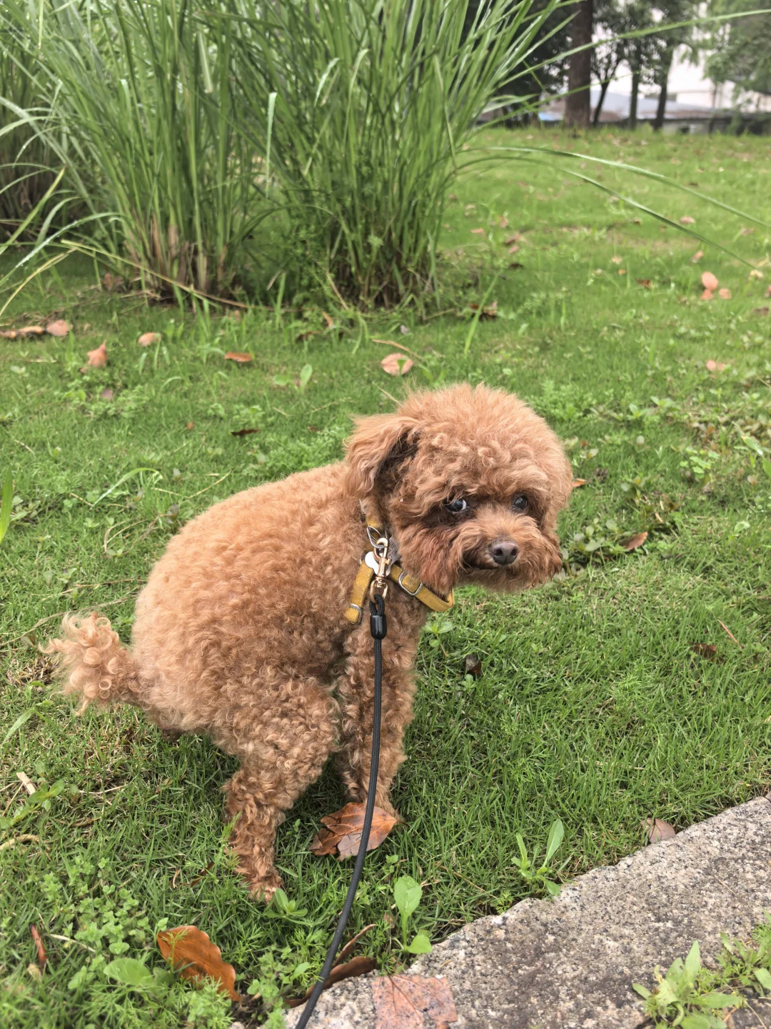 又是一个愉快早上