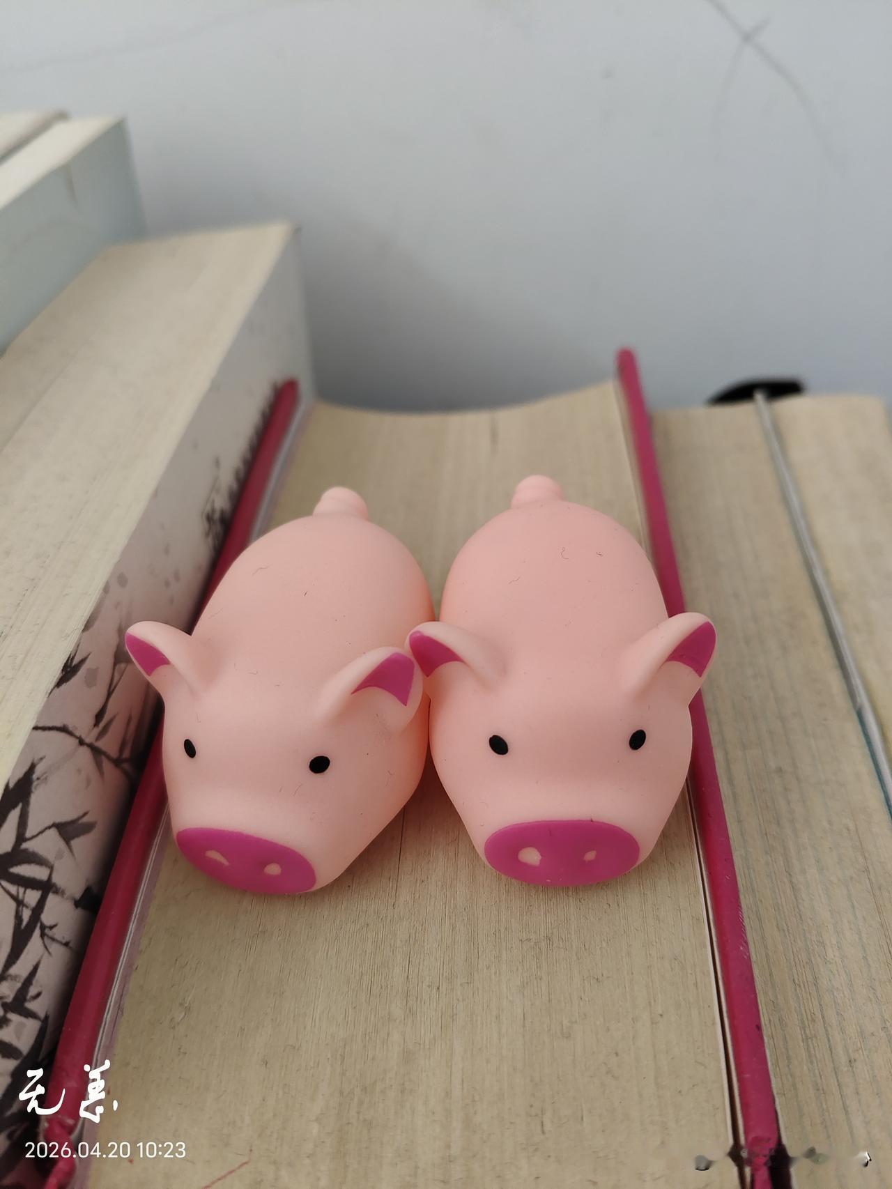 猪一样的队友简直就是欠揍。
这几天我的左肩胛骨缝总是酸痛，跟受风一样。
昨天晚上