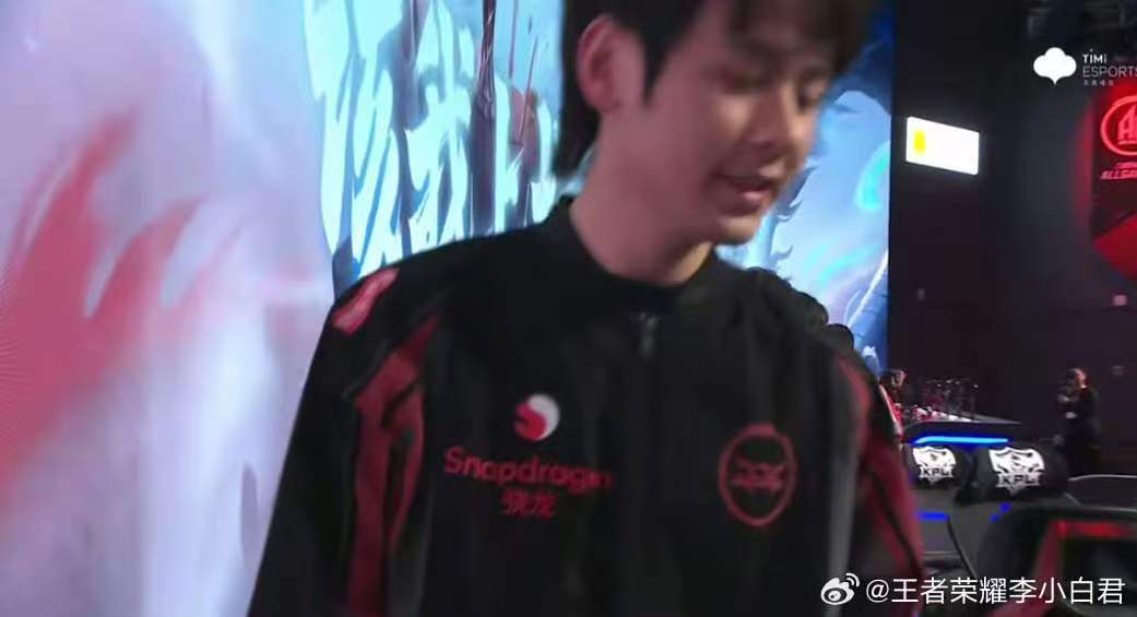 JDG大场十连胜无畏赵怀真全胜无畏赵怀真全胜 我猛猛夸 不中了太强了 