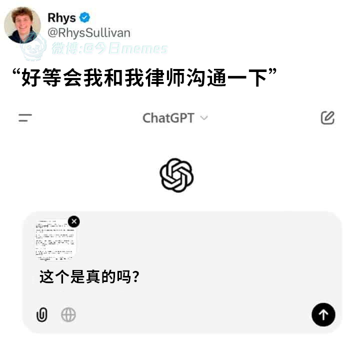 你说说（RhysSullivan）今日meme 今日memes