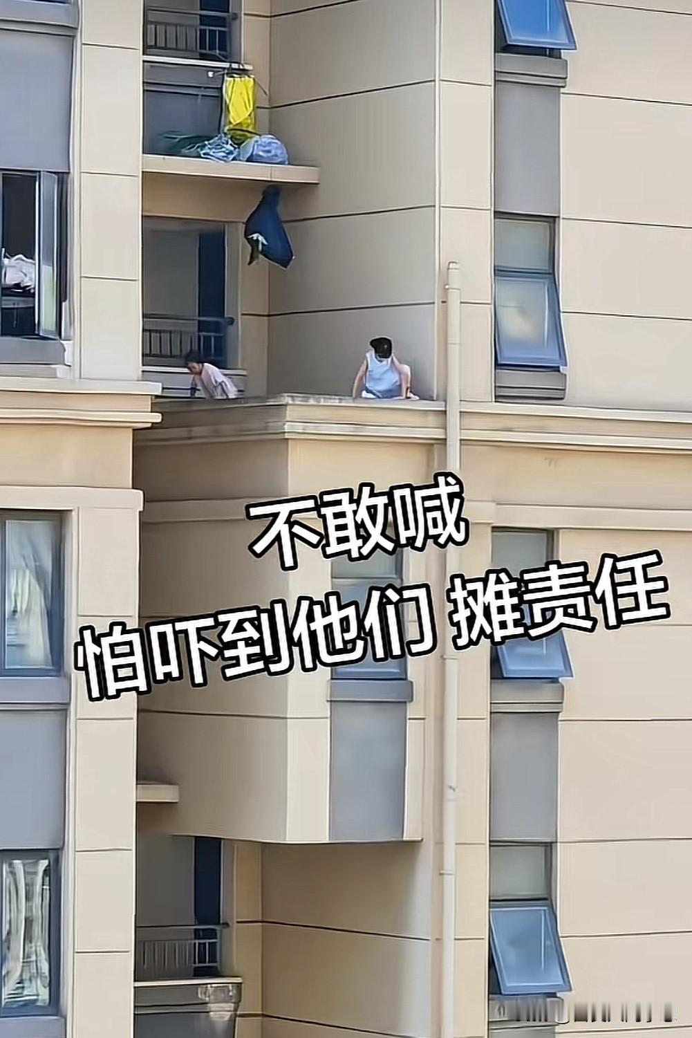 天呐！这一幕太吓人了，这两个孩子是谁家的，赶快领回家吧！

对于孩子来说根本不知