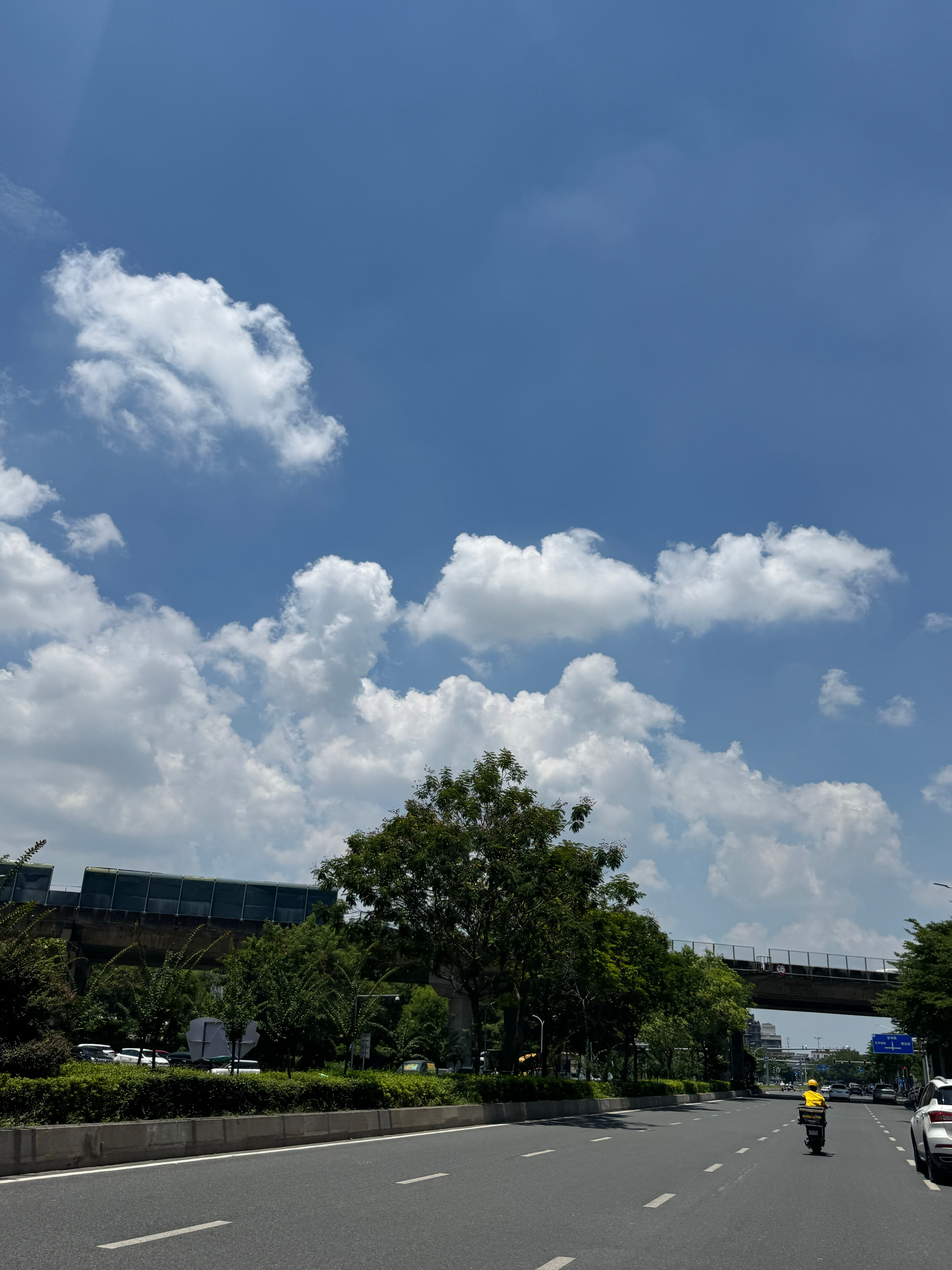 久违的大太阳🌞 