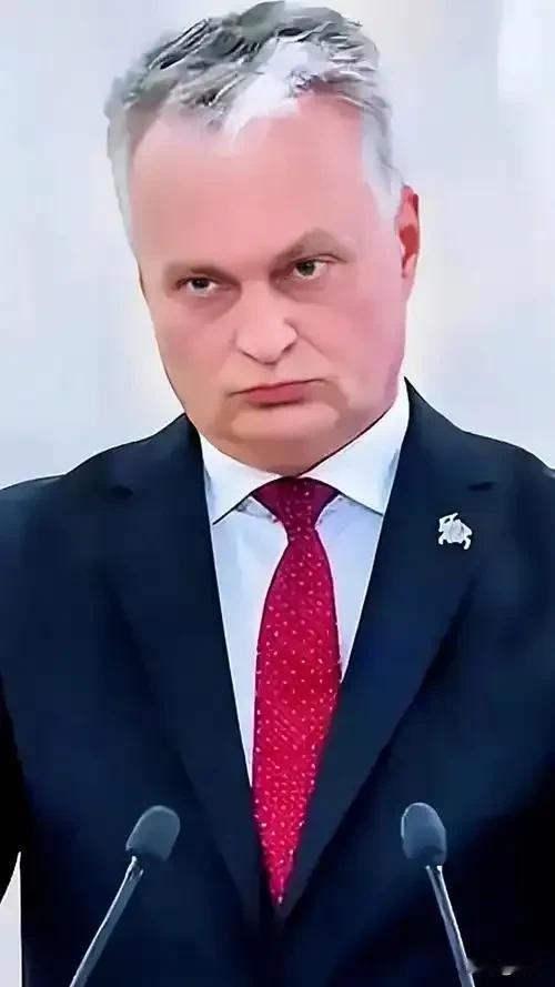 活久见！立陶宛总统瑙塞达为了推脱责任，2月12日他对着立陶宛国家广播电视台公开宣