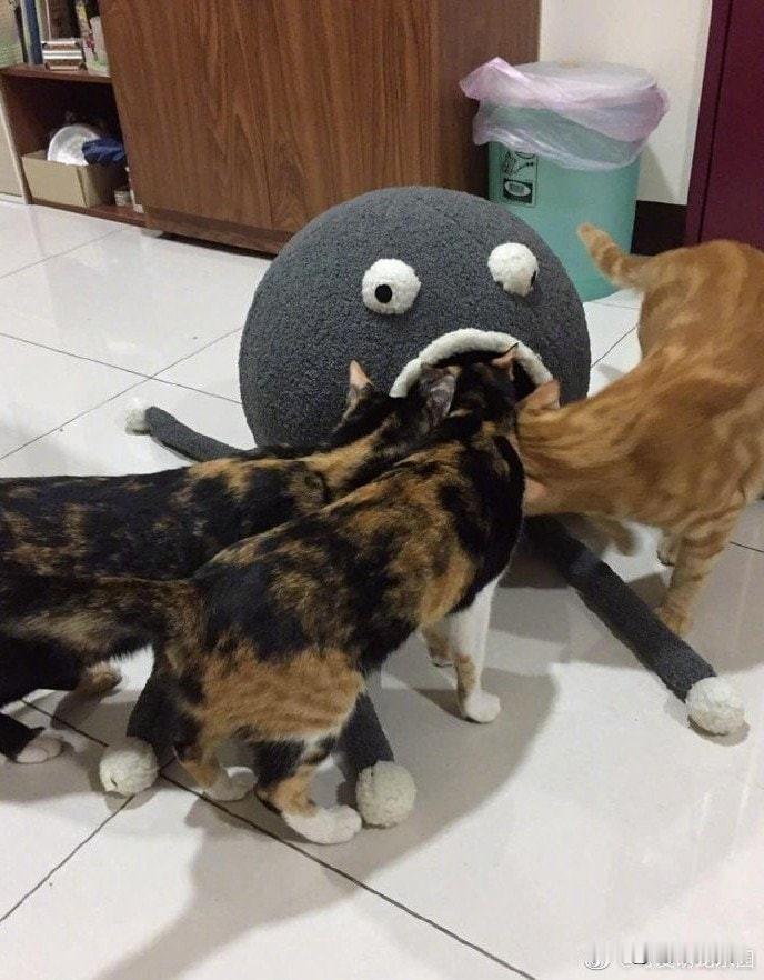 这个猫窝有着谜一样的既视感，不是在吃猫就是在吐猫
