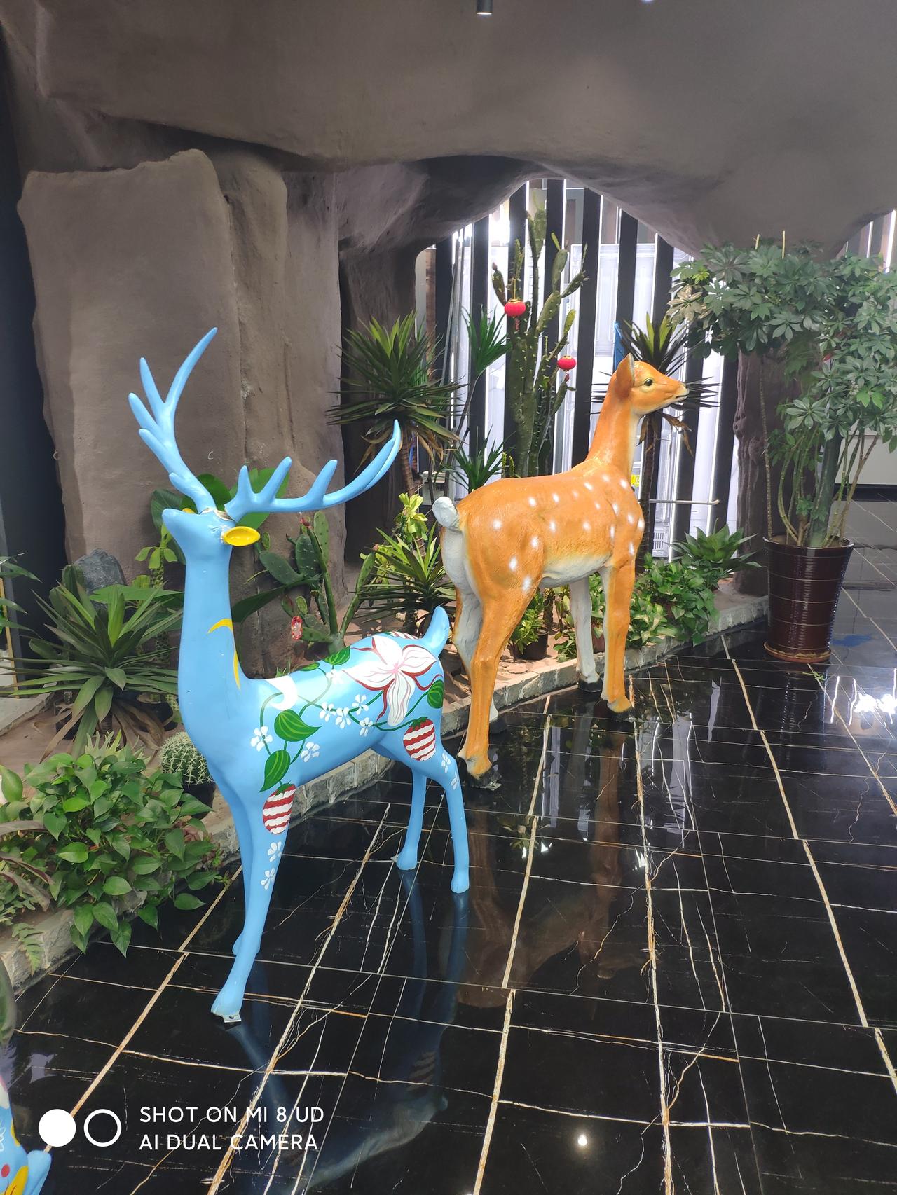 这是什么公园，两只动物在静静地听着。
动物园里的一景 户外偶遇小动物 动物公园游