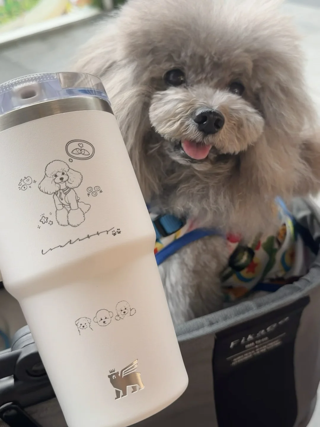 stanley没什么好炫耀的