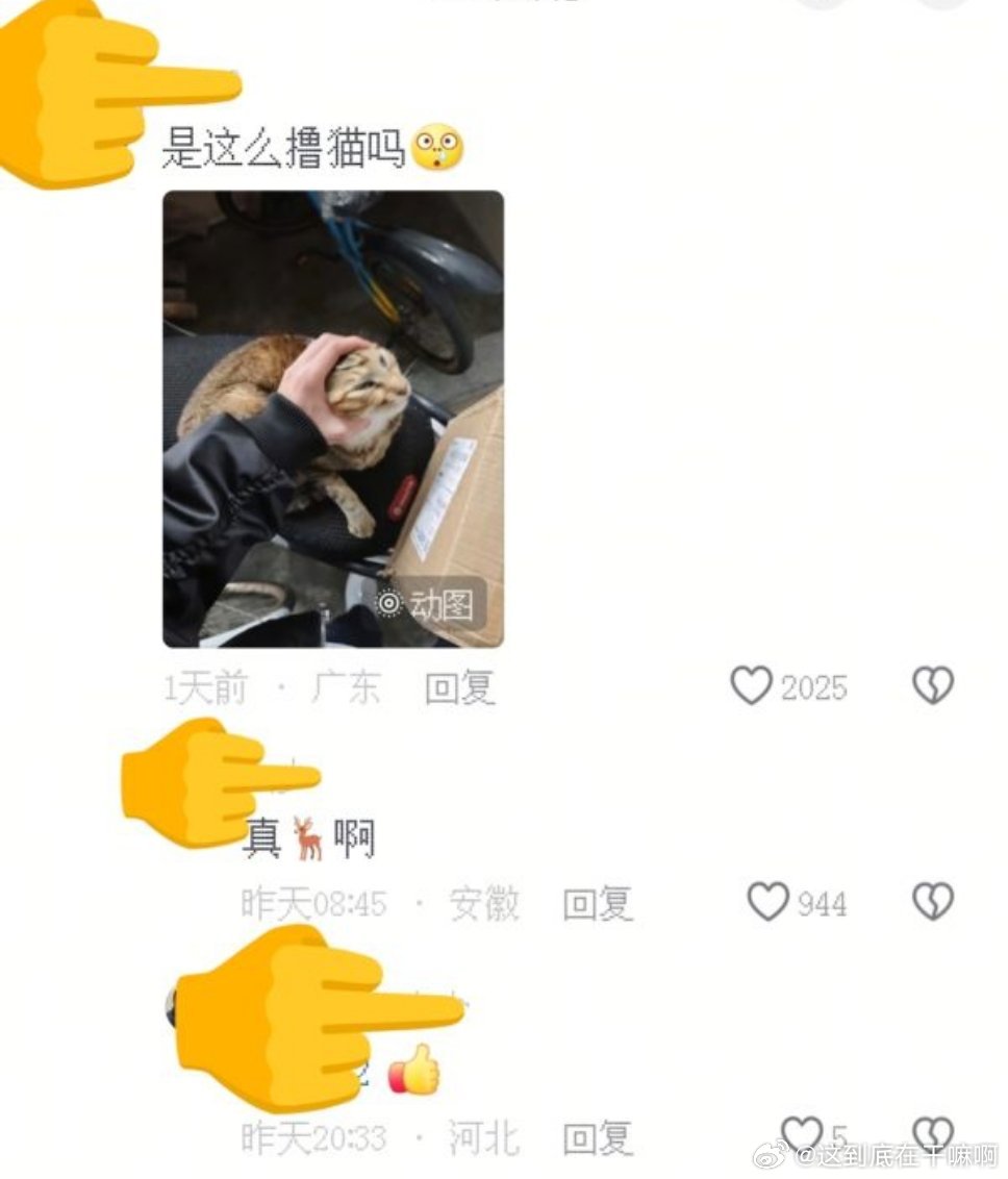 原视频是让大家第一视角摸小猫咪然后我们的小楠木南就开始发力了2053 
