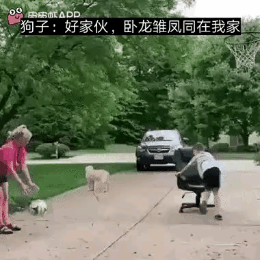 狗子:一时间我竟不知道该帮谁[捂脸][捂脸]
图二，如果我没猜错的话，这孩子马上