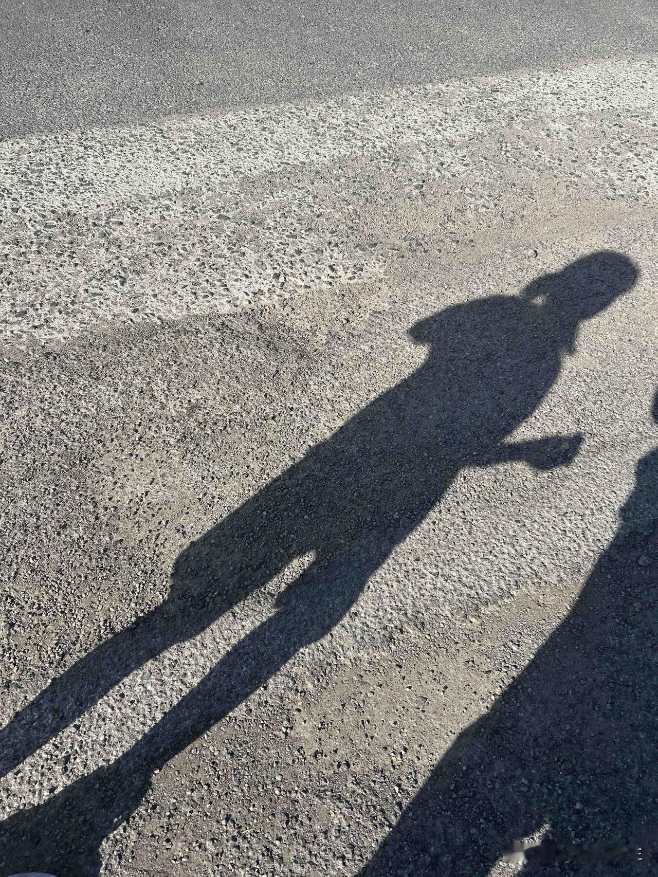 早上五点就醒了，心里有事生物钟自然会启动。

又是一年之中白昼最长的时候，四点半