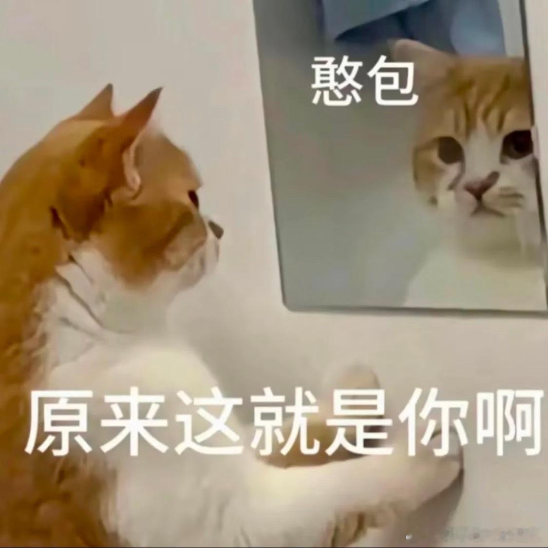 韩媒没打码国内媒体打码了随地大小拍都没有给路人打码过，媒体现在给加害者打码，是在