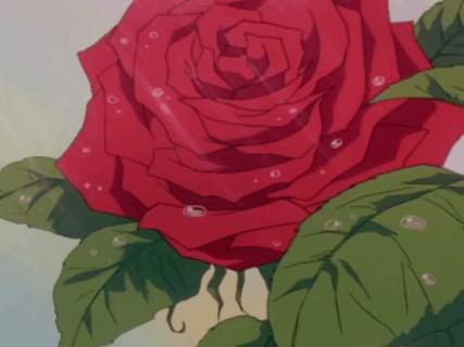 今日份好运已派送💌上榜星座：狮子座、白羊座、射手座 