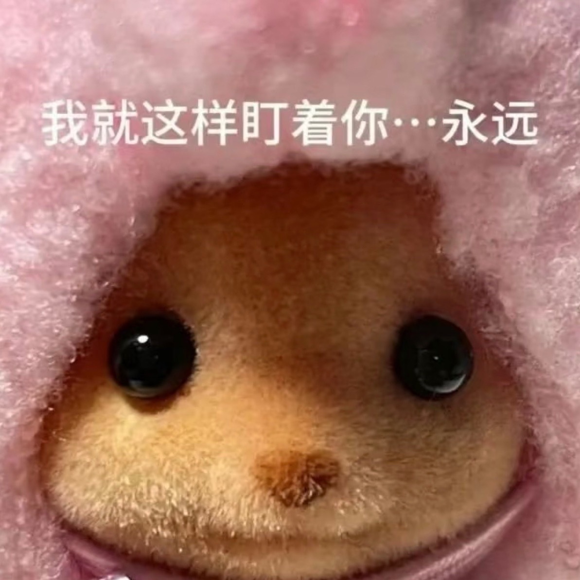 如果哪一点不符合新规我们会立马聚宝哦