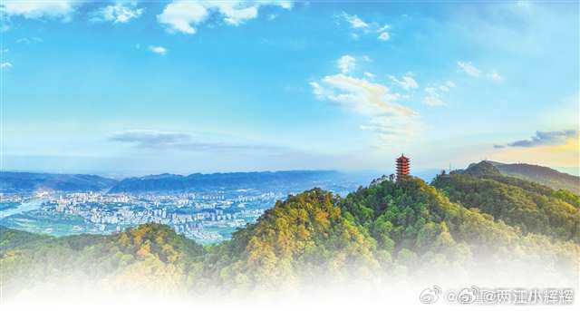 重庆缙云山你变了【世界环境日特别策划｜缙云山色 归去来兮】重庆正在为一座山制定一
