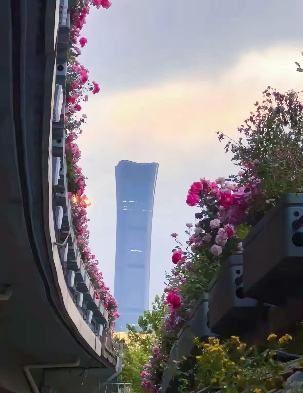你不经历几次没人爱你，没人帮你，没人为你托底，亲人也不想借你钱，甚至暗夜太久影子