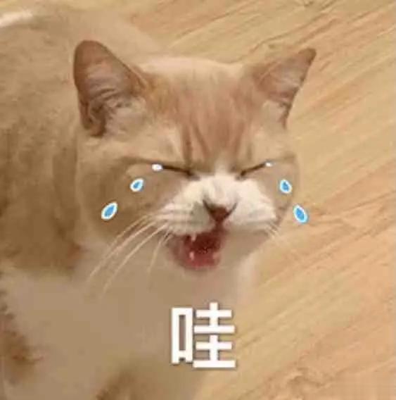 #邓伦# 小时候跟爸妈去外地玩儿的时候，我走丢过一次，在人山人海的公园里，周围都