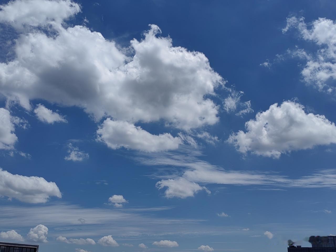 白云朵朵
我走进厨房，
准备做午餐，
推开窗户一看，
湛蓝的天空中，
漂浮着白云
