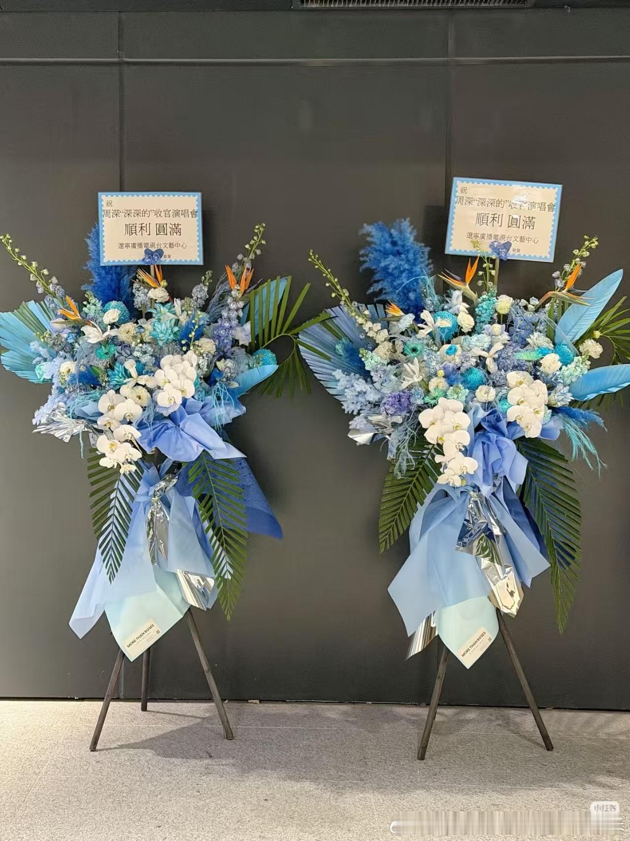 周深周深演唱会 行行行沈阳辽宁电视台你就漏吧东北人就得大大方方的哈