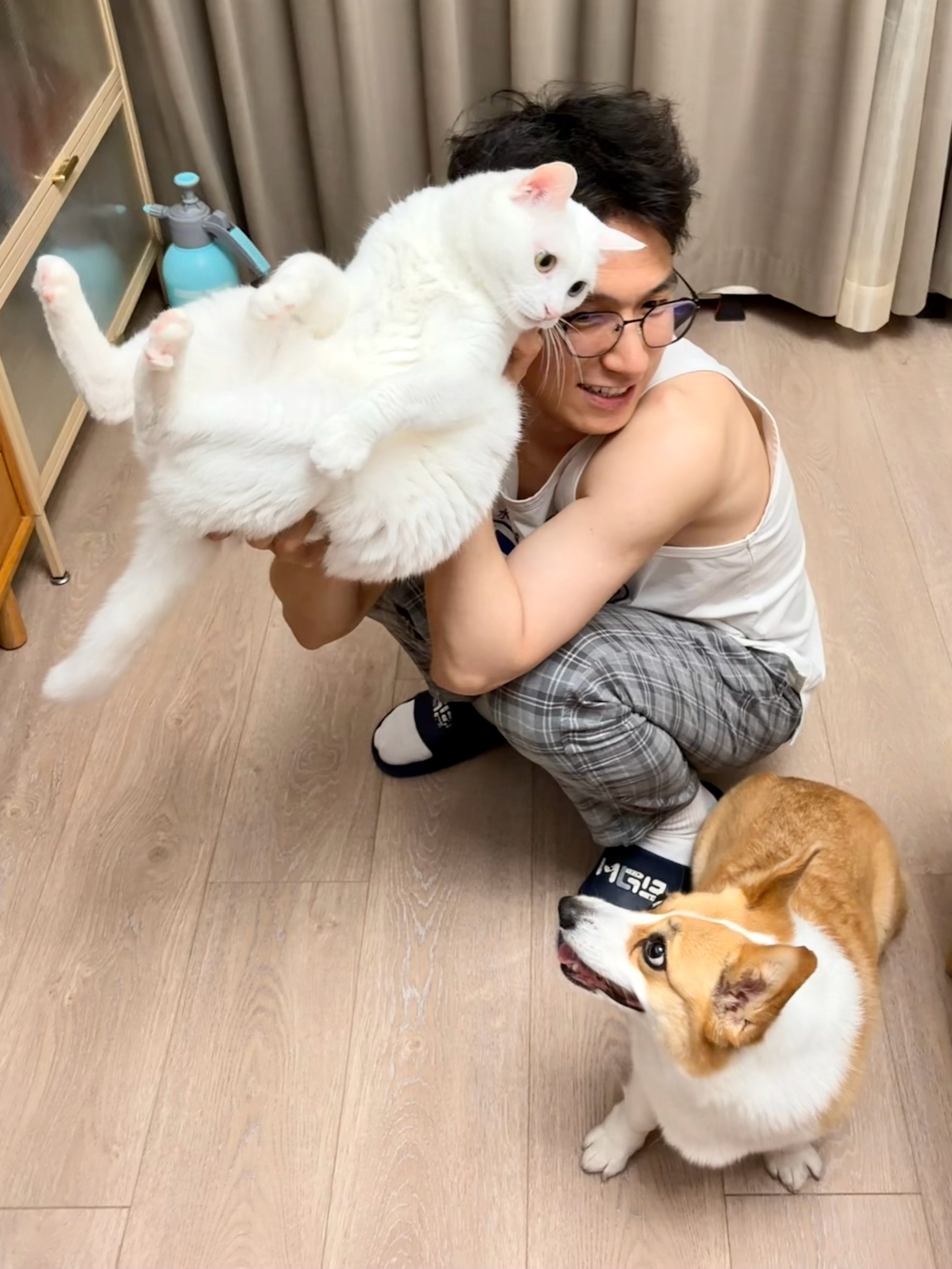 晚安，玛卡巴卡。 