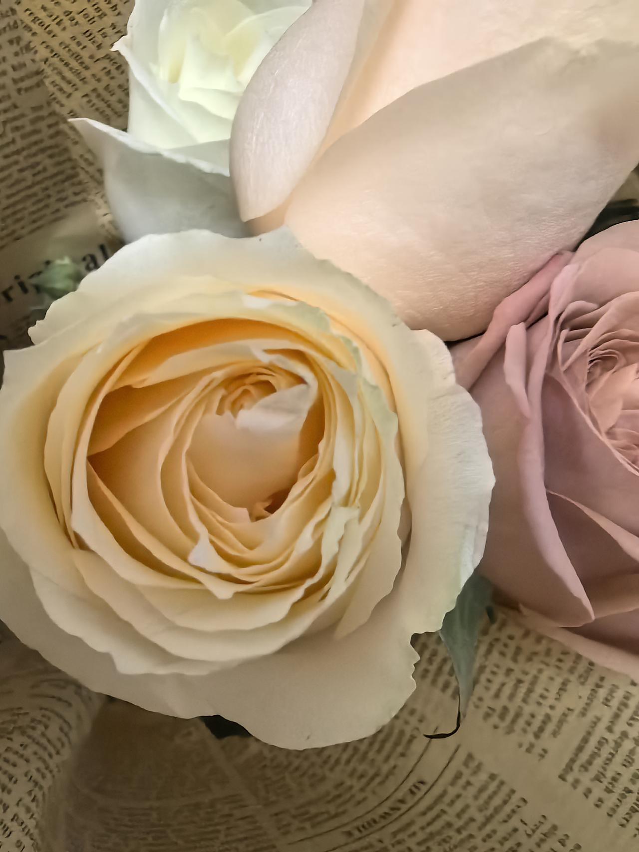 人这一辈子，啥最值钱？依我看，健康、真情和清醒认知就像“铁三角”，一个都不能少。