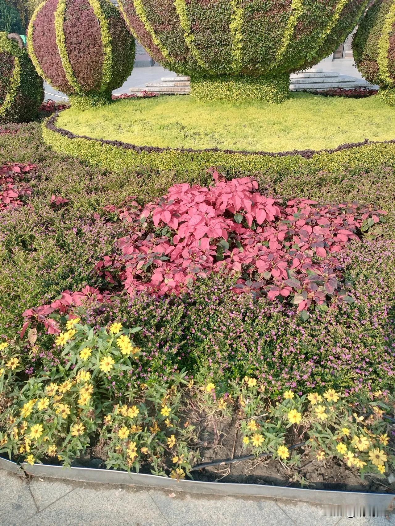 读白居易的忆江南，白居易陕西太原人，因多次到杭州旅游看到杭州风景特别美丽，杭州地