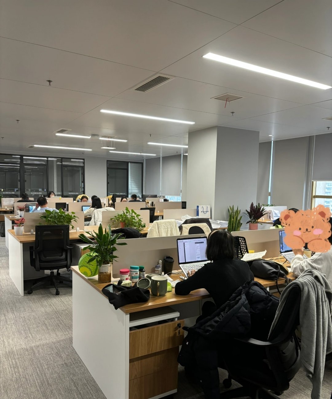 上班不用内耗、不用心累，把工作和生活分开，效率高还不烦躁。好好工作也能好好生活，