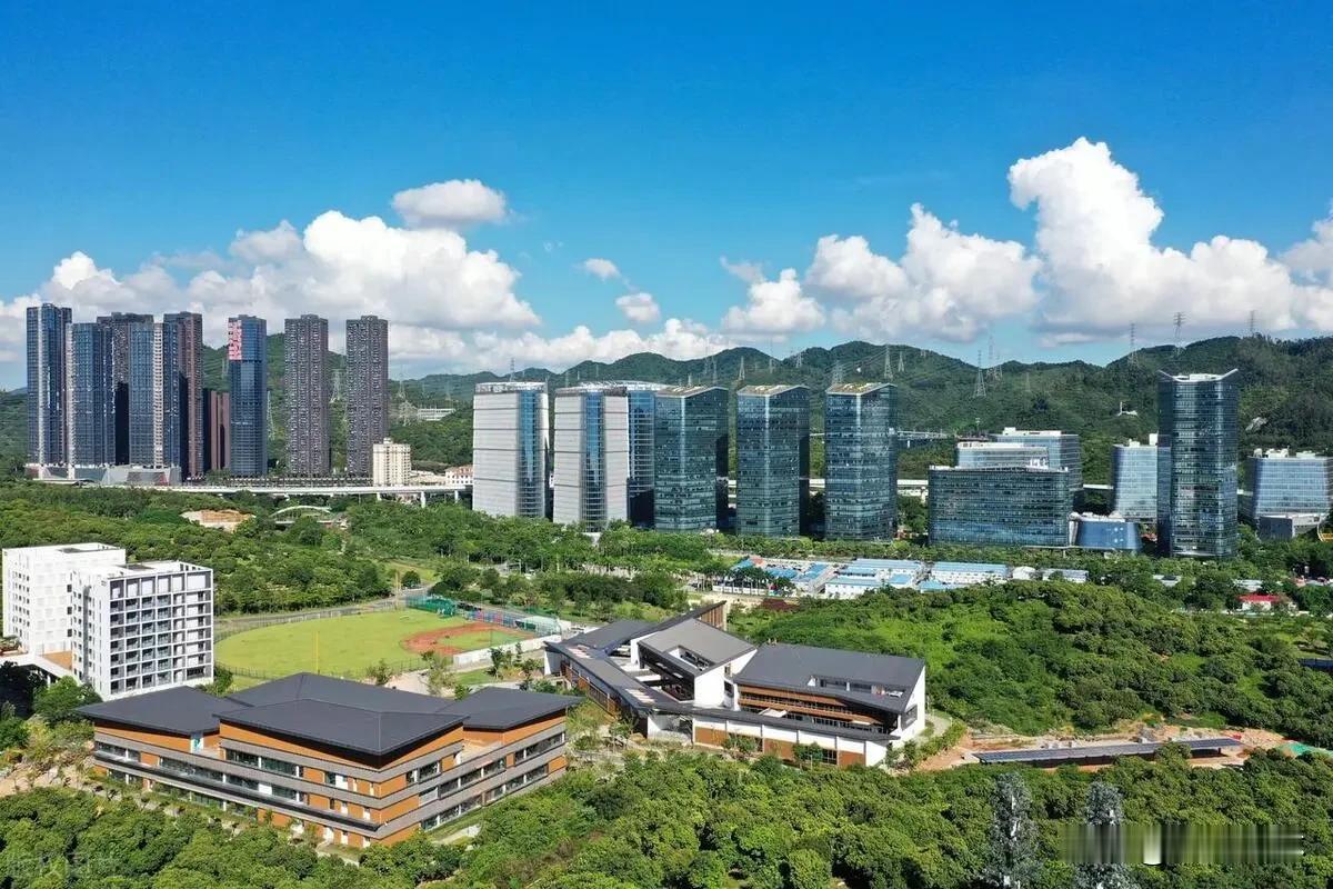 200万换来的教训：高考选专业，追热门还是追兴趣？

“选专业大于选大学”，这话
