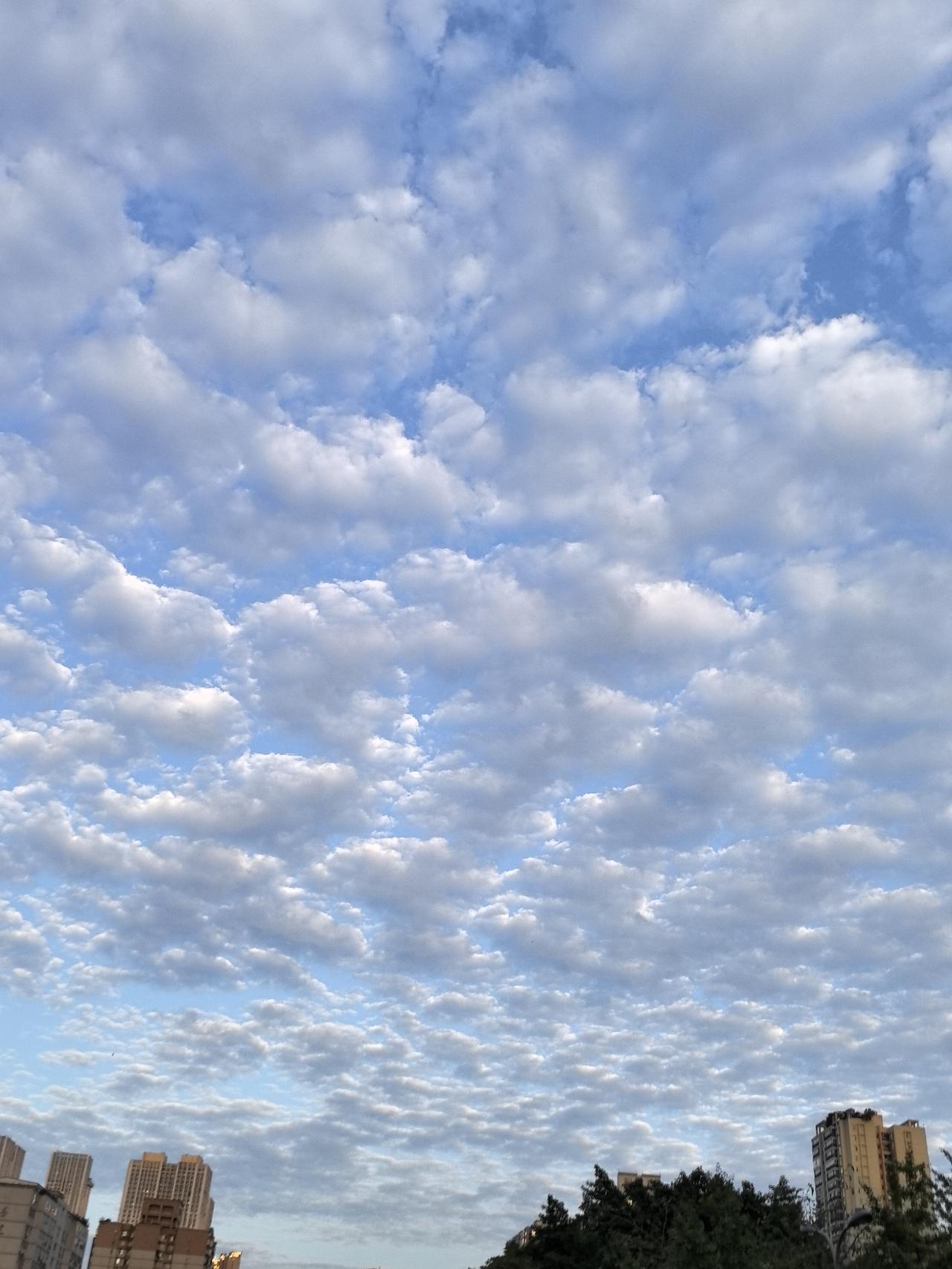 成都的傍晚，好美的天空，好漂亮的云，真是难得一见！！摄于北门大桥。[笑]
成都落