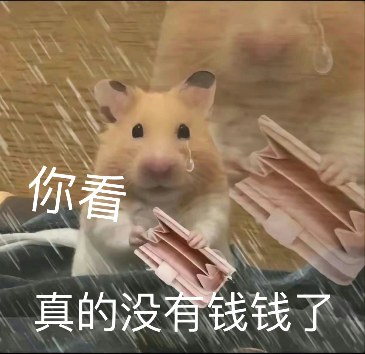 来点表情包 ​​​