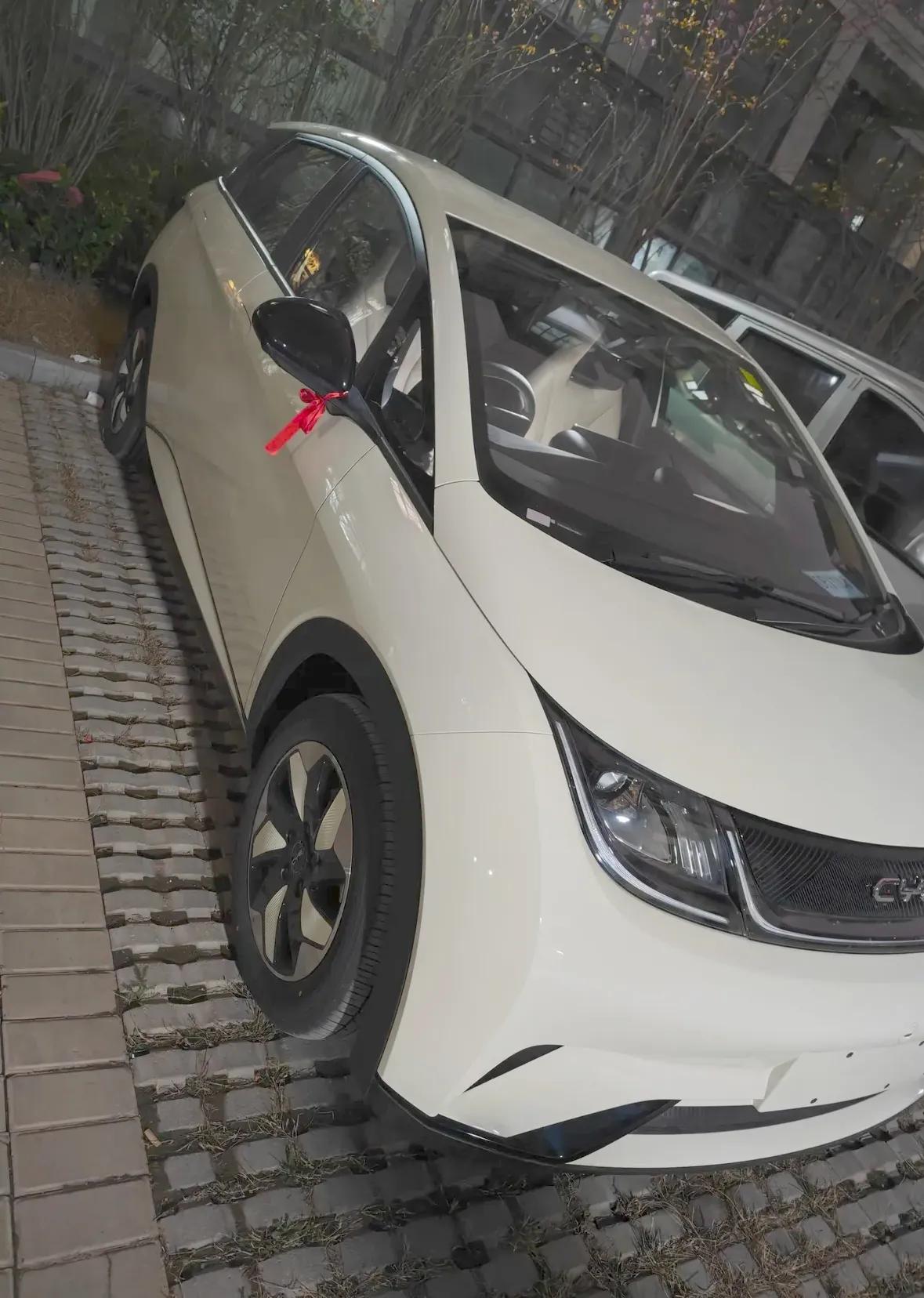 喜提海豚自由版一辆，6万+

过年之前看还是8万+

现在是真好呀，我也没要自行