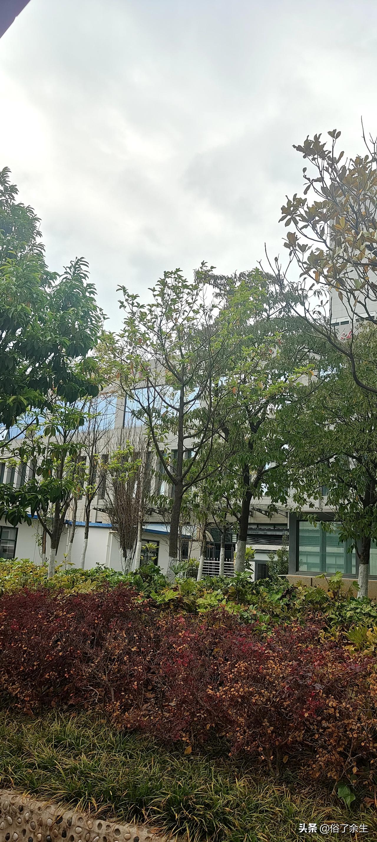 晒图笔记大赛蒸蒸日上