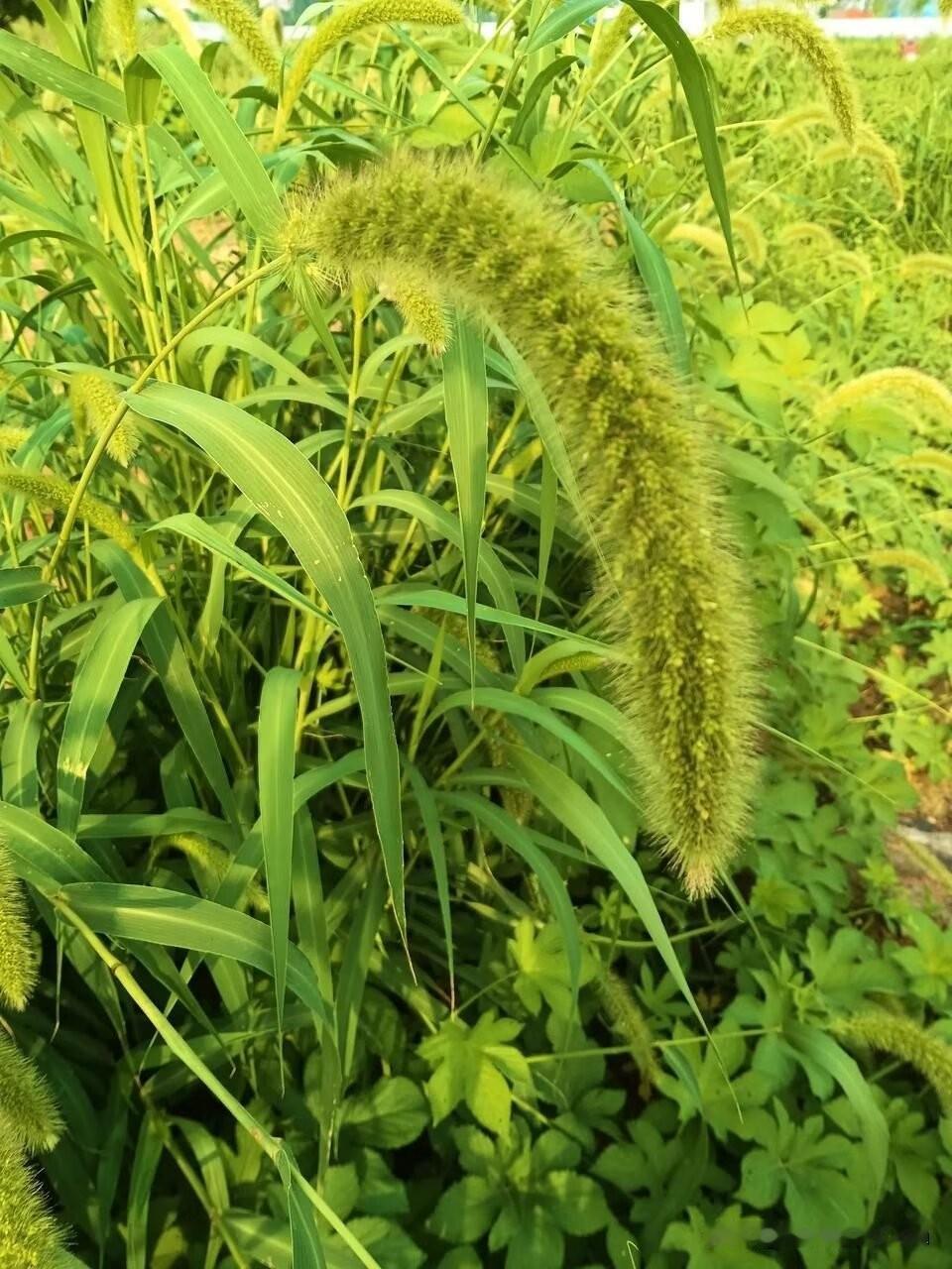 人各有各的活法，有的人活得轰轰烈烈，有的人活得静悄悄，我就属于后边的那种状态。