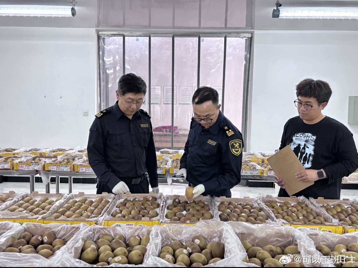 玉环大麦屿港刷新进口猕猴桃纪录近日，新加坡籍冷链货轮“极致”号靠泊台州玉环大麦屿