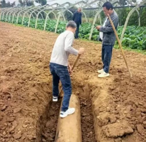 临潼菜农挖出金代经幢，唐宋元明金几乎凑齐！

临潼菜农挖出的这件石刻，文物部门初