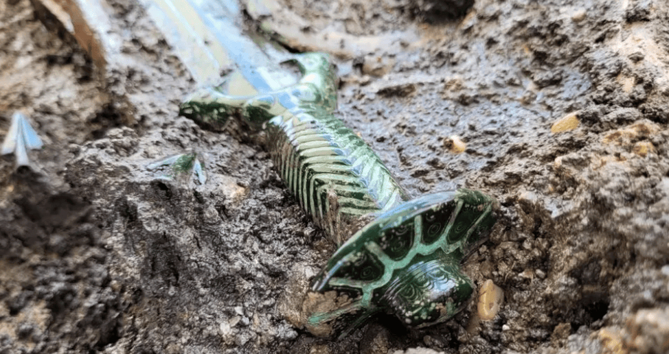 【#德国发掘出一把3000年前青铜剑#，出土时“还在发光”[吃惊]】据英国广播公