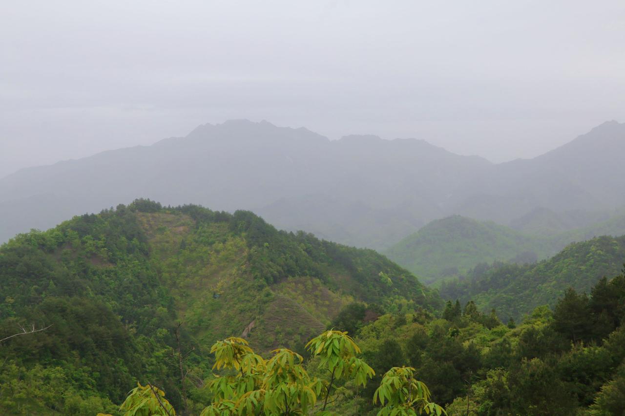 每天都会推送一些反腐的视频给我们看，有的时候看了是既好气又好笑，为什么呢？因为没