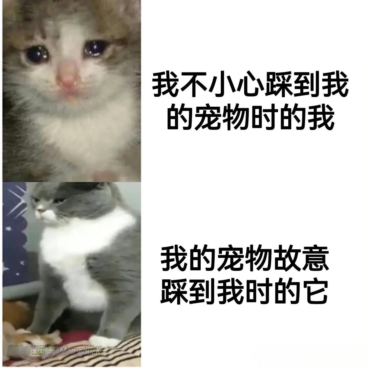 不能光看我一个人笑，你也来笑一笑