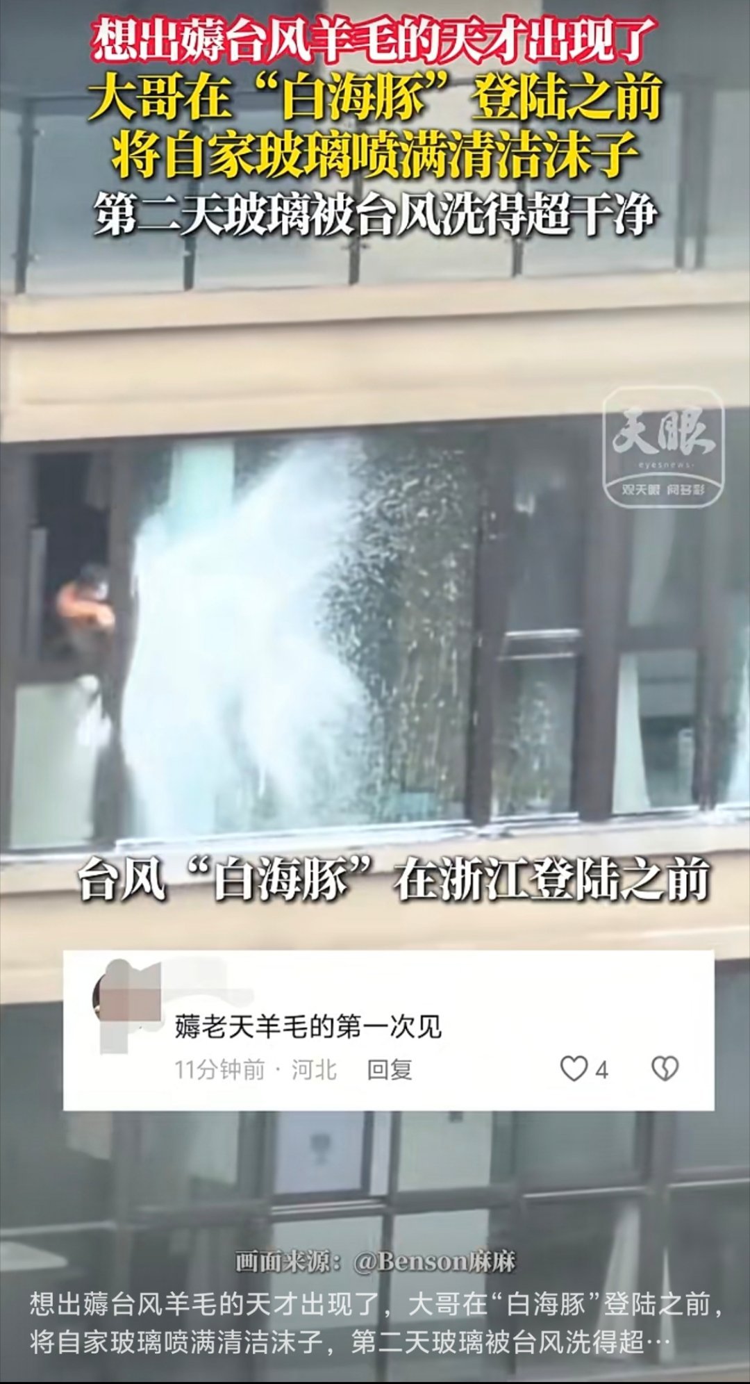 #白海豚中心已移出浙江#见过薅羊毛的，但是没见过薅台风羊毛的。在台风来之前，将自
