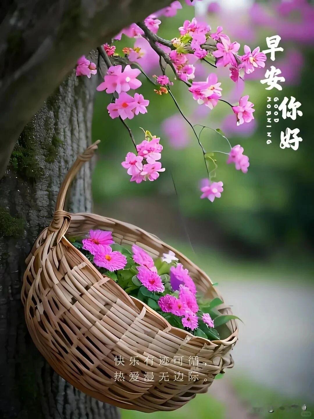 🍂²⁰²⁶/₀₈.₁₃ᵕ̈周四｜初秋皆欢愉🍒🍑☕️🍎
🍃Good Mo