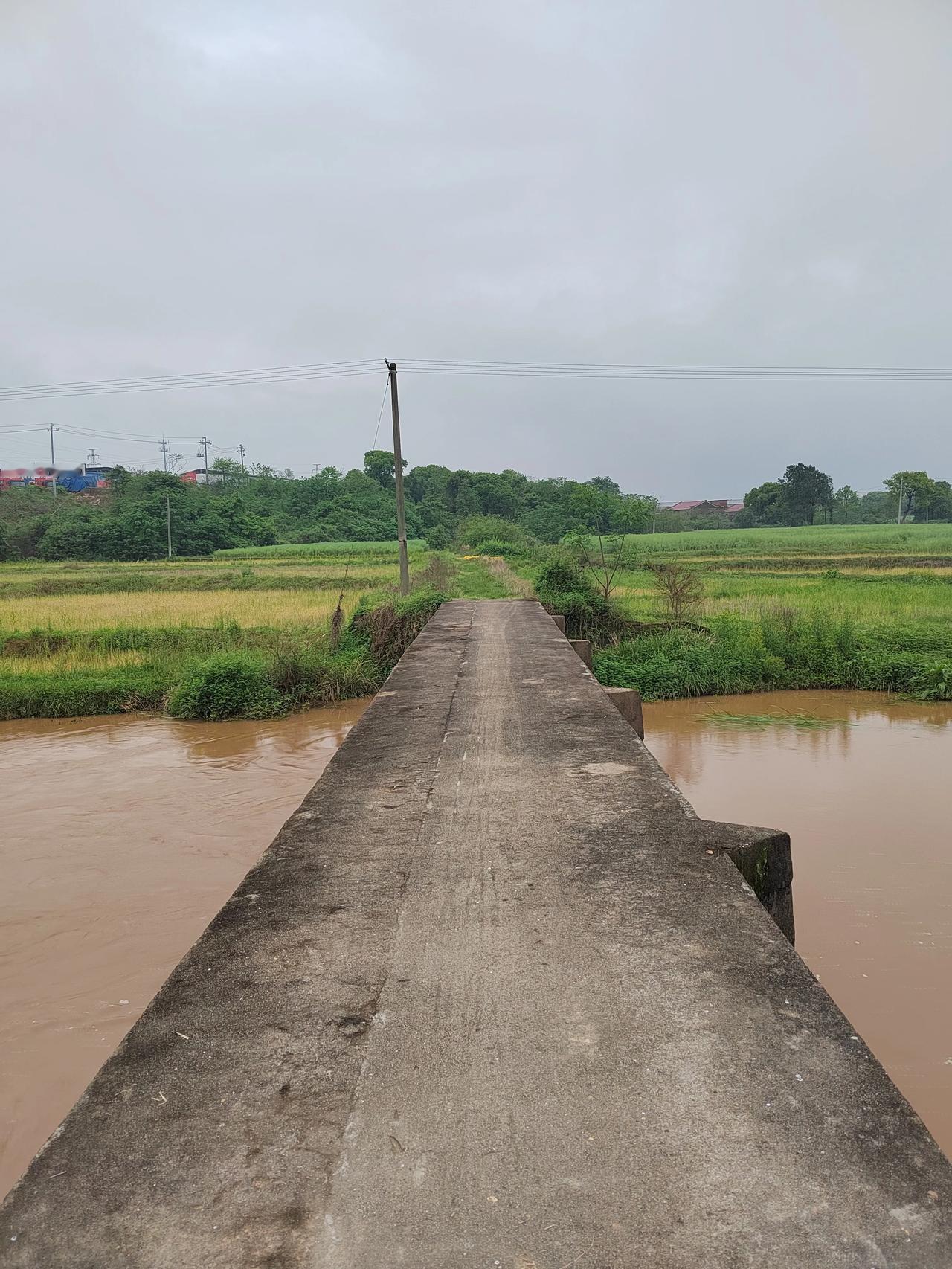 工业区边缘的一座石桥，阴雨天里依旧元气满满

在高安城东工业区边缘，祥符港蜿蜒而