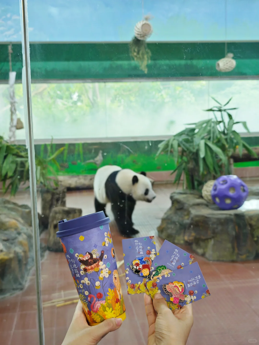 🦁动物园和茶理梦幻联名，快来打卡!