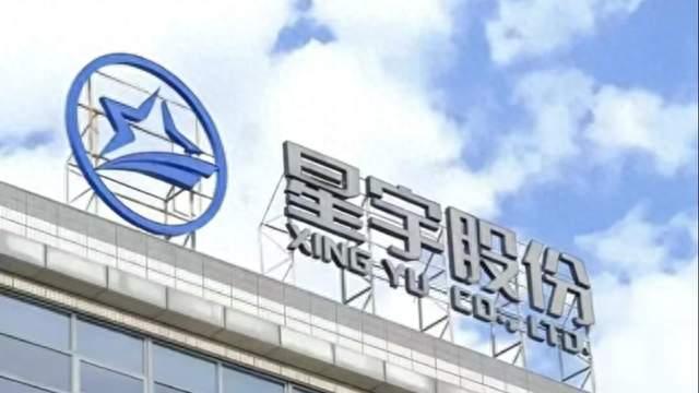 星宇股份：4名高管被处理，总经理扣薪12个月，HR总监免职