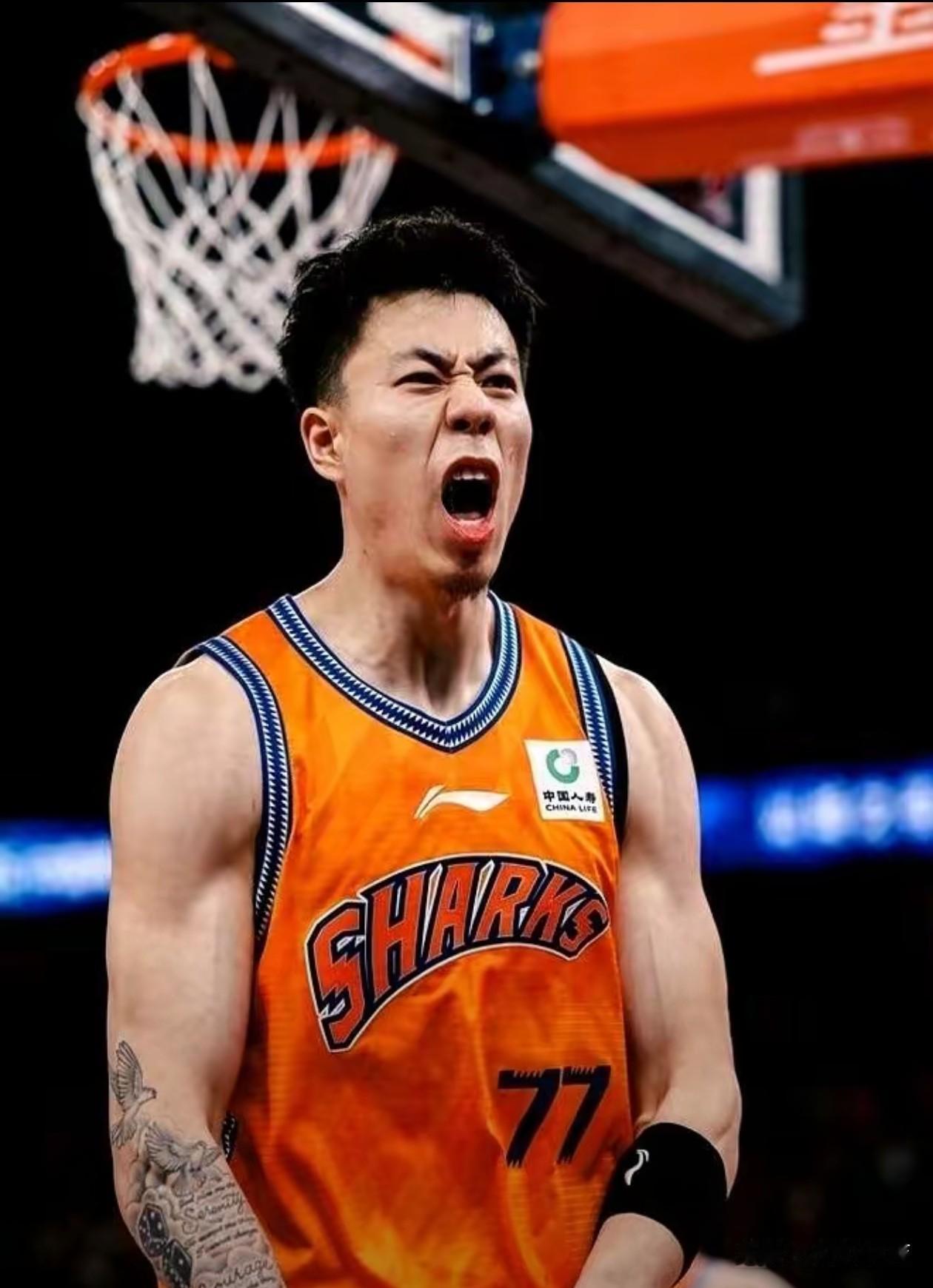CBA总决赛15连胜，前无古人后有没有来者不知道！！！张镇麟国内联赛近些年少有的